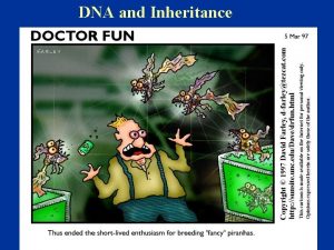 Hemizygous definition biology