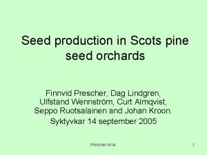 Seed production in Scots pine seed orchards Finnvid