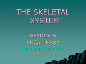 THE SKELETAL SYSTEM HEADINGS VOCABULARY IMPORTANT INFO http