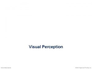 Visual Perception Human Body Systems 2014 Project Lead