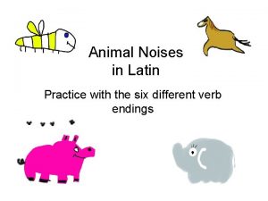 Animal Noises in Latin Practice with the six