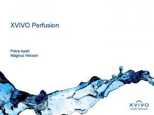 XVIVO Perfusion Petra Apell Magnus Nilsson Our focus