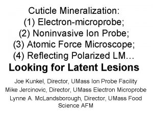 Cuticle Mineralization 1 Electronmicroprobe 2 Noninvasive Ion Probe