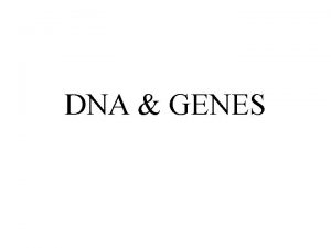 DNA GENES DNA the molecule of heredity DNA