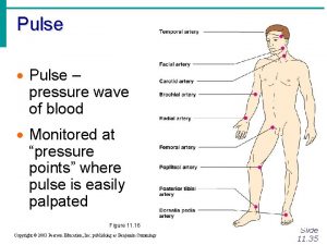 Pulse Pulse pressure wave of blood Monitored at