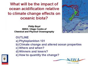 What will be the impact of ocean acidification