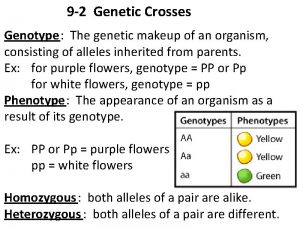 Section 9-2 genetic crosses