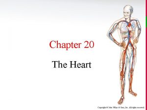 Chapter 20 The Heart Copyright John Wiley Sons