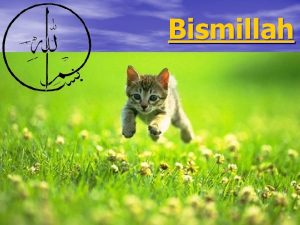 Bismillah bismillah in the name of allah