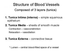 Structure of blood vessels