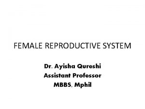 FEMALE REPRODUCTIVE SYSTEM Dr Ayisha Qureshi Assistant Professor