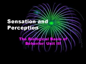 Sensation and Perception The Biological Basis of Behavior