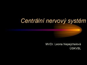 Centrln nervov systm MVDr Leona Nepejchalov SKVBL Struktura