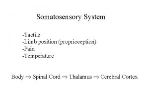 Somatosensory System Tactile Limb position proprioception Pain Temperature