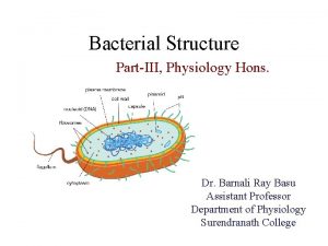 Flagella pili