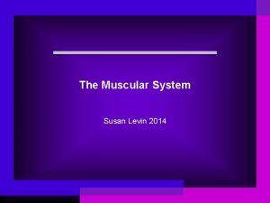 The Muscular System Susan Levin 2014 Do Now