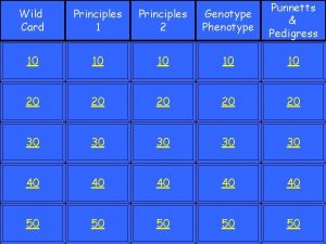 Wild Card Principles 1 Principles 2 Genotype Phenotype