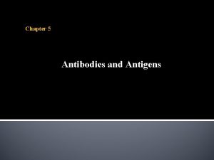 Chapter 5 Antibodies and Antigens Adaptive immune responses
