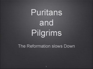 Puritans and Pilgrims The Reformation slows Down 1