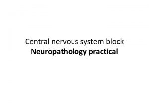 Central nervous system block Neuropathology practical First practical