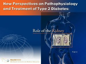 Part 4 Etiology of Type 2 Diabetes Insulin