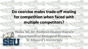 Do coercive males tradeoff mating for competition when