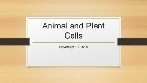 Animal and Plant Cells November 10 2015 Is