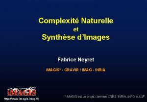 Complexit Naturelle et Synthse dImages Fabrice Neyret i