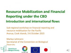 Cbd financial reporting framework