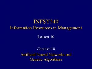 INFSY 540 Information Resources in Management Lesson 10