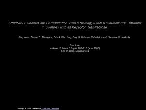 Structural Studies of the Parainfluenza Virus 5 HemagglutininNeuraminidase