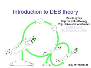 Introduction to DEB theory Bas Kooijman Dept theoretical