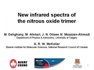 New infrared spectra of the nitrous oxide trimer