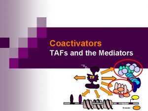 Coactivators TAFs and the Mediators TF TBP TATA