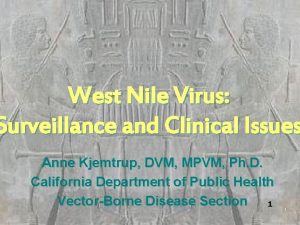 West Nile Virus Surveillance and Clinical Issues Anne