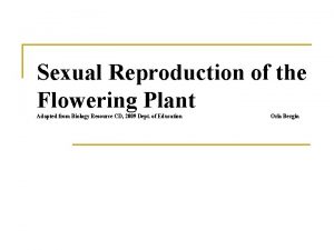 Pollen tube grows through