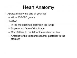 Gross anatomy of heart