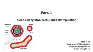 Part 1 A noncoding RNA nc 886 and