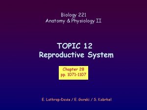 Biology 221 Anatomy Physiology II TOPIC 12 Reproductive