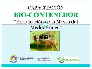 CAPACITACIN BIOCONTENEDOR Erradicacin de la Mosca del Mediterrneo