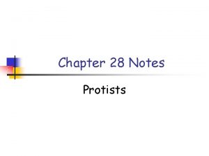 Chapter 28 Notes Protists Protists exhibit more structural