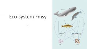 Ecosystem Fmsy Ecosystem productivity Basic ecosystem concepts 1 Ecosystem Fmsy Ecosystem productivity Basic ecosystem concepts 1