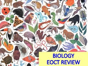 BIOLOGY EOCT REVIEW Invasive insect species can cause