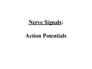 Nerve Signals Action Potentials Resting Potential Resting refers