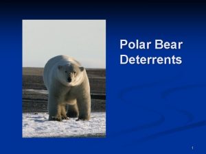 Polar Bear Deterrents 1 Hazing n Hazing is