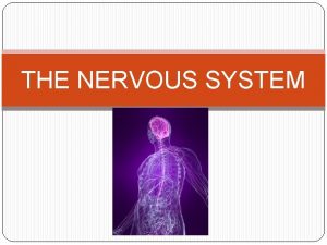 THE NERVOUS SYSTEM DEFINITION the bodys communicator electrical