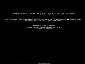 Senescent Keratinocytes Die by Autophagic Programmed Cell Death