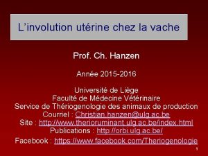 Linvolution utrine chez la vache Prof Ch Hanzen