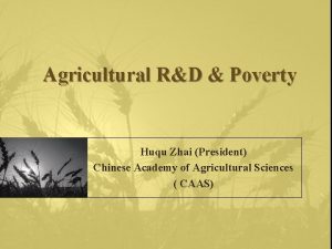 Agricultural RD Poverty Huqu Zhai President Chinese Academy