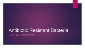 Antibiotic Resistant Bacteria NATURAL SELECTION Objectives Increase knowledge